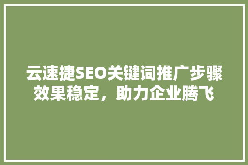 云速捷SEO关键词推广步骤效果稳定，助力企业腾飞