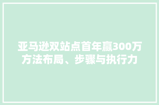 亚马逊双站点首年赢300万方法布局、步骤与执行力