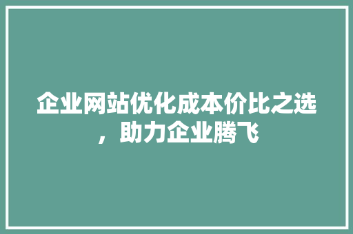 企业网站优化成本价比之选，助力企业腾飞
