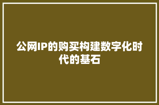 公网IP的购买构建数字化时代的基石