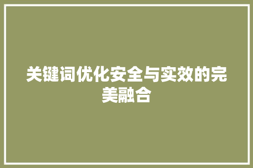 关键词优化安全与实效的完美融合