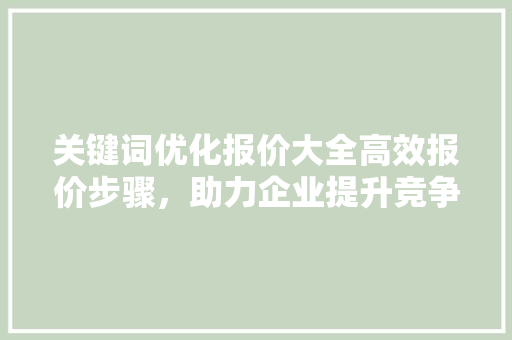关键词优化报价大全高效报价步骤，助力企业提升竞争力