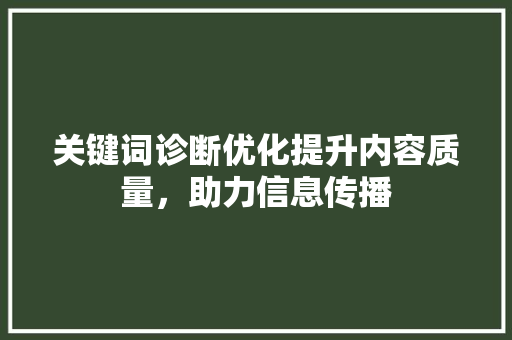 关键词诊断优化提升内容质量，助力信息传播 操作系统