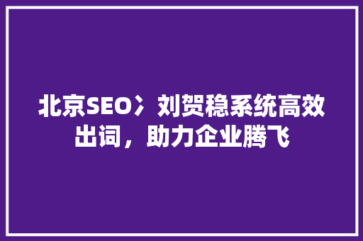 北京SEO冫刘贺稳系统高效出词，助力企业腾飞