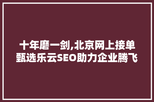 十年磨一剑,北京网上接单甄选乐云SEO助力企业腾飞