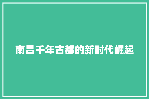 南昌千年古都的新时代崛起 操作系统