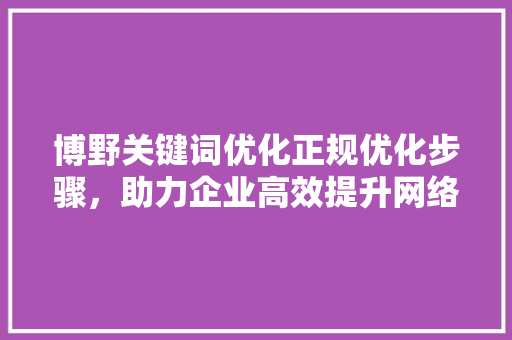 博野关键词优化正规优化步骤，助力企业高效提升网络曝光度