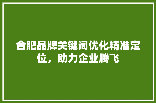 合肥品牌关键词优化精准定位,助力企业腾飞 合肥品牌关键词优化精准定位,助力企业腾飞