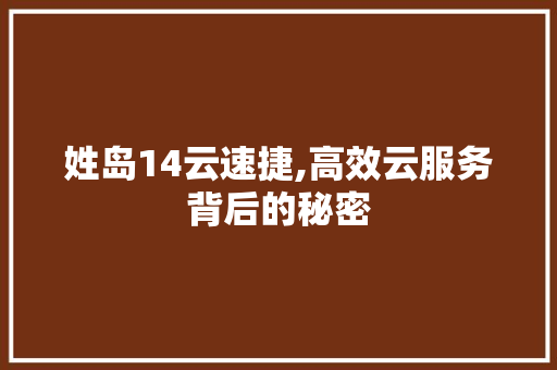 姓岛14云速捷,高效云服务背后的秘密