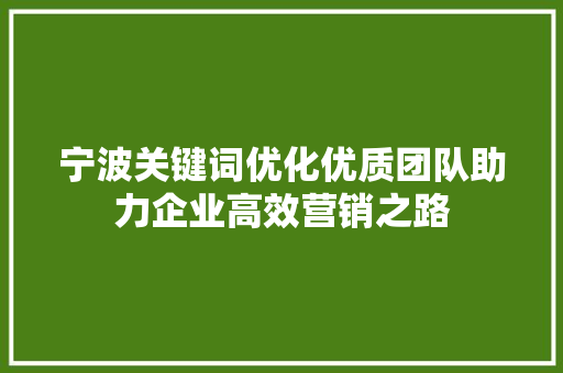 宁波关键词优化优质团队助力企业高效营销之路
