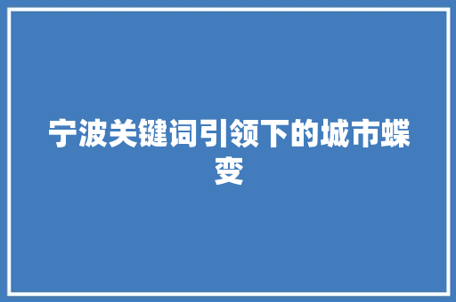 宁波关键词引领下的城市蝶变