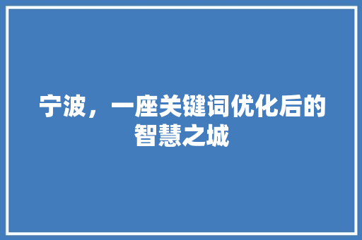 宁波，一座关键词优化后的智慧之城