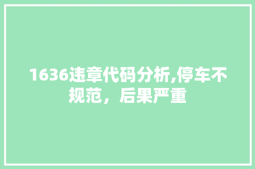 1636违章代码分析,停车不规范，后果严重 1636违章代码分析,停车不规范，后果严重 操作系统