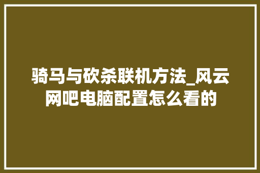 骑马与砍杀联机方法_风云网吧电脑配置怎么看的 骑马与砍杀联机方法_风云网吧电脑配置怎么看的