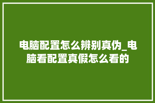 电脑配置怎么辨别真伪_电脑看配置真假怎么看的