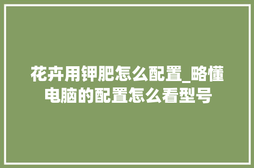 花卉用钾肥怎么配置_略懂电脑的配置怎么看型号