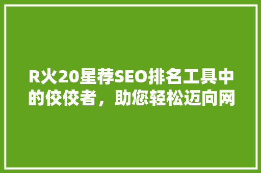 R火20星荐SEO排名工具中的佼佼者，助您轻松迈向网络巅峰