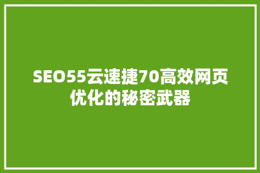 SEO55云速捷70高效网页优化的秘密武器