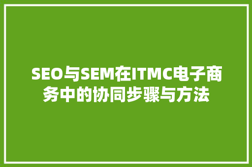 SEO与SEM在ITMC电子商务中的协同步骤与方法