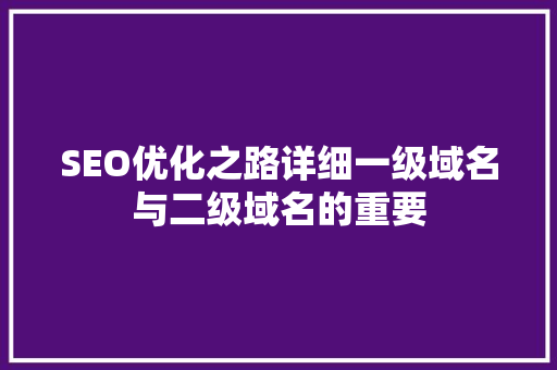 SEO优化之路详细一级域名与二级域名的重要