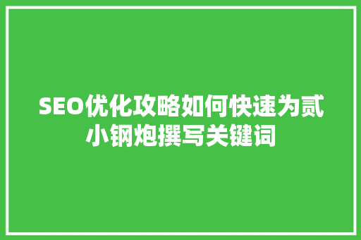 SEO优化攻略如何快速为贰小钢炮撰写关键词