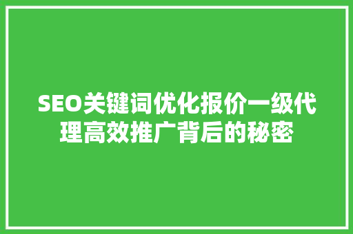 SEO关键词优化报价一级代理高效推广背后的秘密