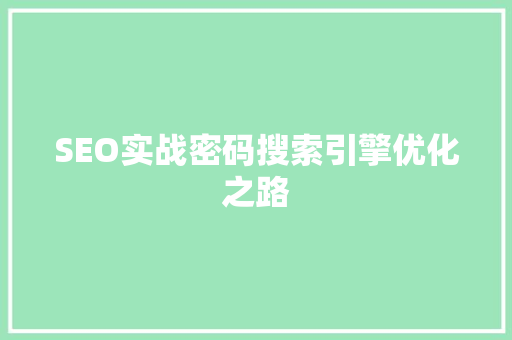 SEO实战密码搜索引擎优化之路 电脑基础