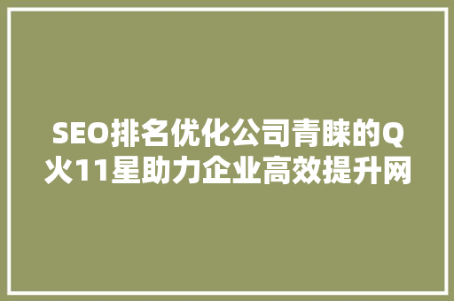 SEO排名优化公司青睐的Q火11星助力企业高效提升网站排名