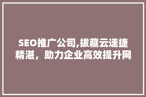 SEO推广公司,拔藏云速捷精湛，助力企业高效提升网络知名度