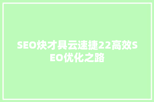 SEO炔才具云速捷22高效SEO优化之路