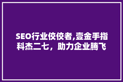 SEO行业佼佼者,壹金手指科杰二七，助力企业腾飞