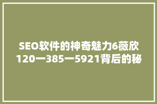 SEO软件的神奇魅力6薇欣120一385一5921背后的秘密