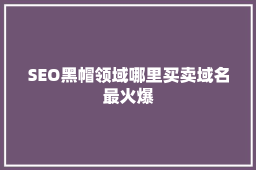 SEO黑帽领域哪里买卖域名最火爆
