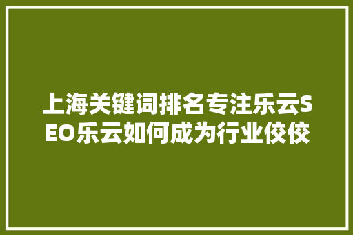 上海关键词排名专注乐云SEO乐云如何成为行业佼佼者 上海关键词排名专注乐云SEO乐云如何成为行业佼佼者
