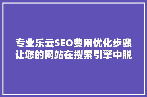 专业乐云SEO费用优化步骤让您的网站在搜索引擎中脱颖而出 电脑配置