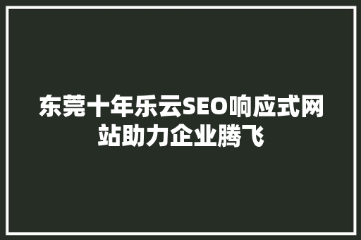 东莞十年乐云SEO响应式网站助力企业腾飞