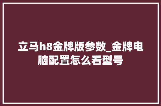 立马h8金牌版参数_金牌电脑配置怎么看型号