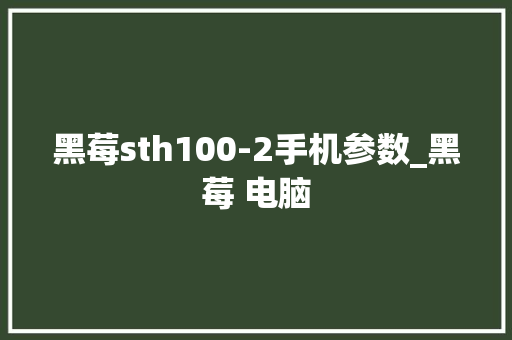 黑莓sth100-2手机参数_黑莓 电脑