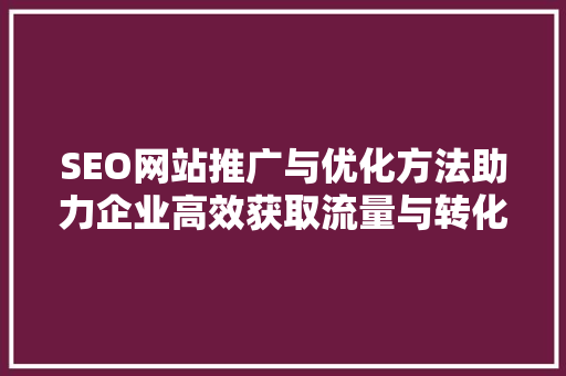 SEO网站推广与优化方法助力企业高效获取流量与转化