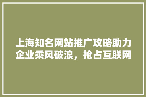 上海知名网站推广攻略助力企业乘风破浪，抢占互联网高地