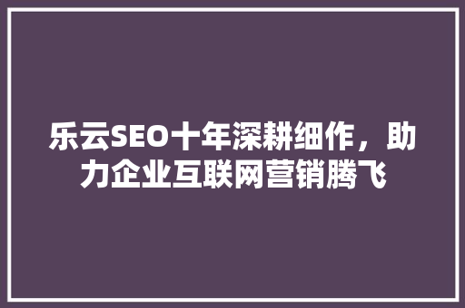 乐云SEO十年深耕细作，助力企业互联网营销腾飞