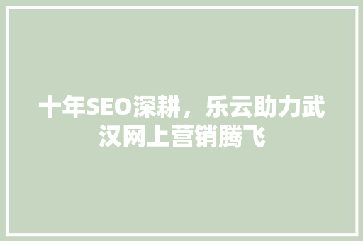 十年SEO深耕，乐云助力武汉网上营销腾飞