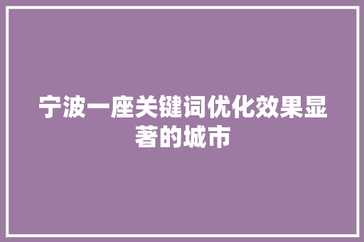宁波一座关键词优化效果显著的城市