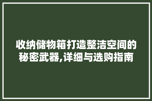 收纳储物箱打造整洁空间的秘密武器,详细与选购指南 收纳储物箱打造整洁空间的秘密武器,详细与选购指南