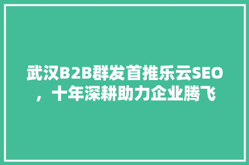 武汉B2B群发首推乐云SEO，十年深耕助力企业腾飞