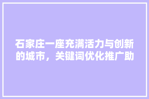 石家庄一座充满活力与创新的城市，关键词优化推广助力城市发展