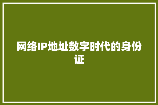网络IP地址数字时代的身份证