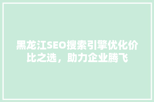 黑龙江SEO搜索引擎优化价比之选，助力企业腾飞