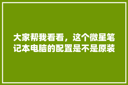 大家帮我看看，这个微星笔记本电脑的配置是不是原装的_微星电脑怎么看牌子配置参数