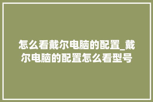 怎么看戴尔电脑的配置_戴尔电脑的配置怎么看型号